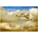 Trademark Fine Art Swan Song by Lois Bryan Canvas Art Ready to Hang 16x24 Inches