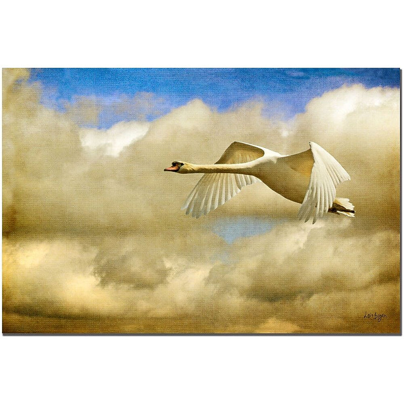 Trademark Fine Art Swan Song by Lois Bryan Canvas Art Ready to Hang 16x24 Inches