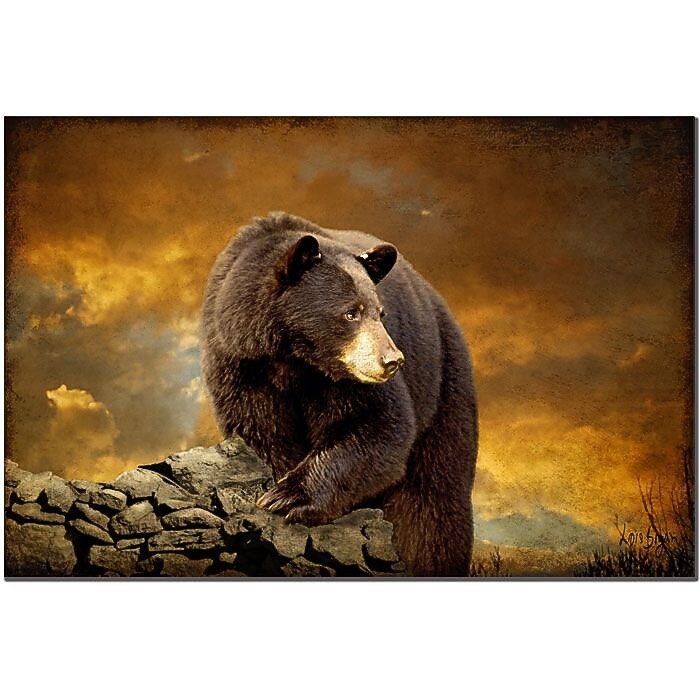 Trademark Fine Art The Bear Went Over the Mountain by Lois Bryan Art 16x24 Inches