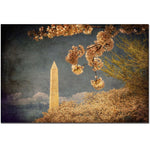 Trademark Fine Art Lois Bryan 'Standing Tall' Canvas Art