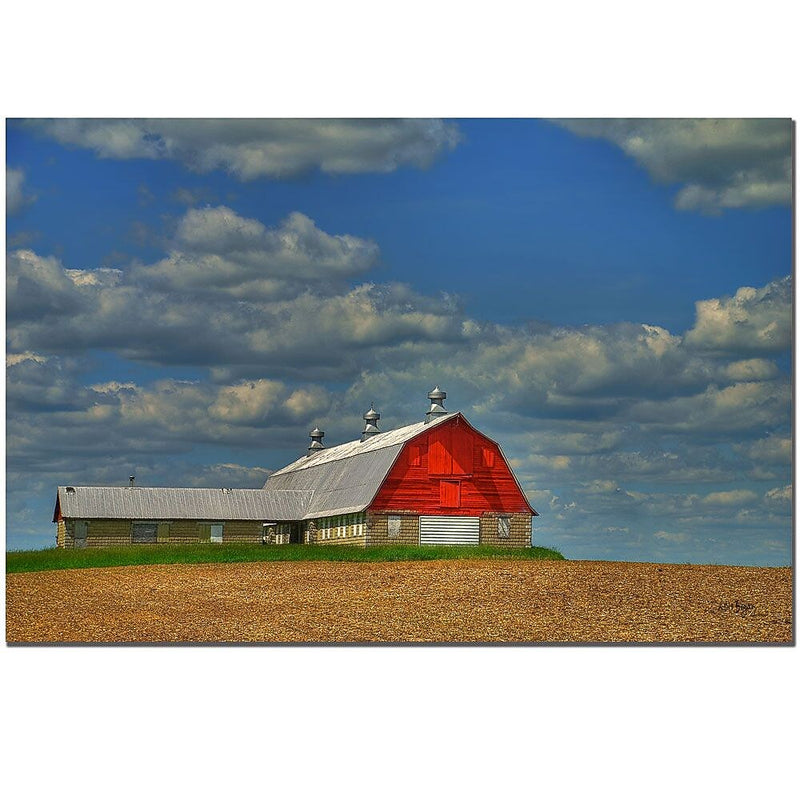 Trademark Fine Art Lois Bryan, 'Things Unnoticed at the Time' Canvas Art 35x47 Inches