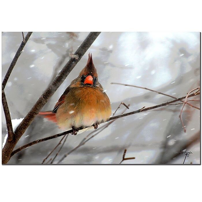 Trademark Fine Art Lois Bryan 'What the...' Matted Art Black Frame 11x14 Inches