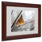 Lois Bryan 'What the...' Framed Matted Art - 16x20 Inches - Wood Frame