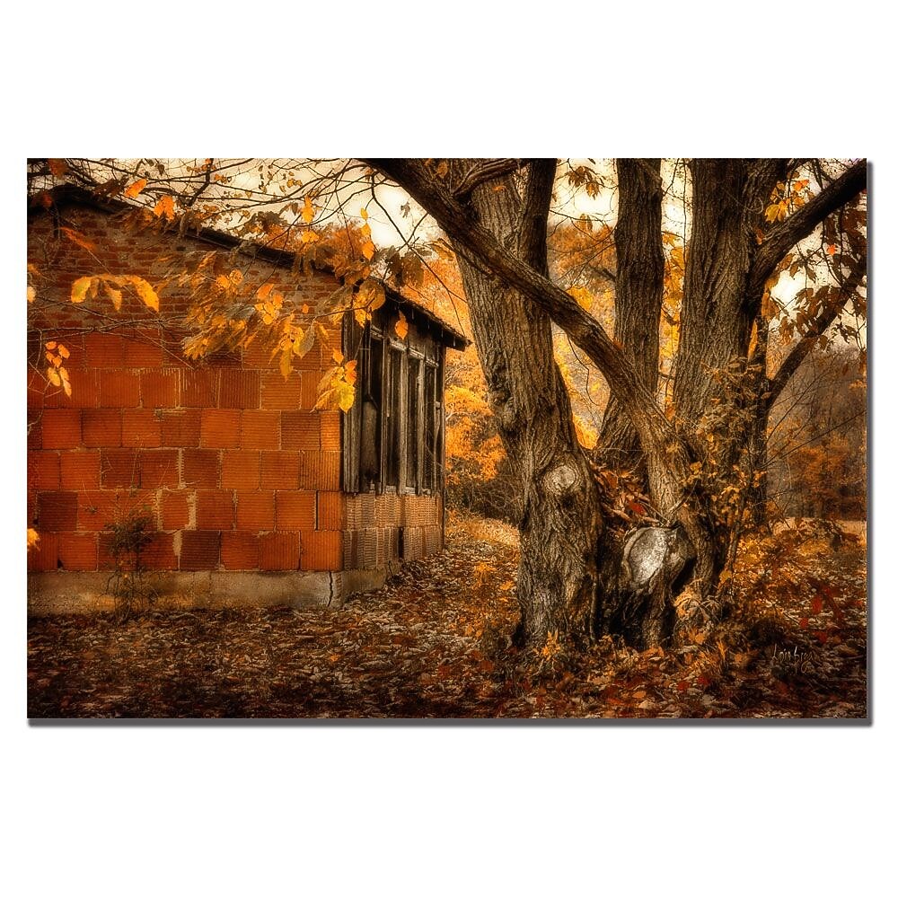 Trademark Fine Art Lois Bryan 'Autumn on the Farm' Canvas Art 22x32 Inches