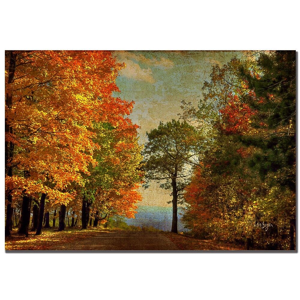 Trademark Fine Art Lois Bryan 'Autumn on the Mountain'' Canvas Art 22x32 Inches