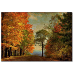 Trademark Fine Art Lois Bryan 'Autumn on the Mountain' Canvas Art 16x24 Inches