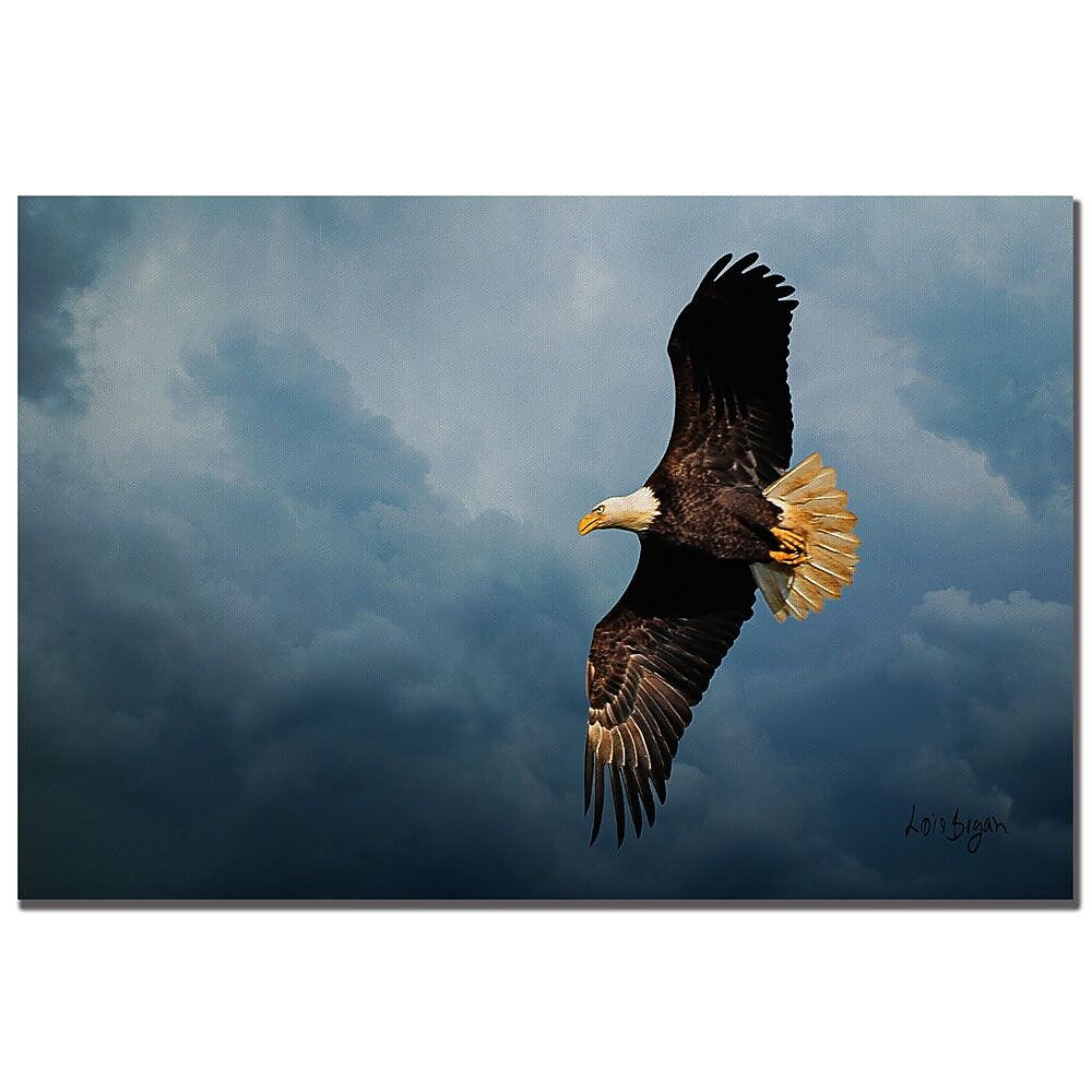 Trademark Fine Art Lois Bryan 'Eagle in the Sky' Canvas Art 16x24 Inches