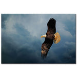 Trademark Fine Art Lois Bryan 'Eagle in the Sky' Canvas Art 22x32 Inches