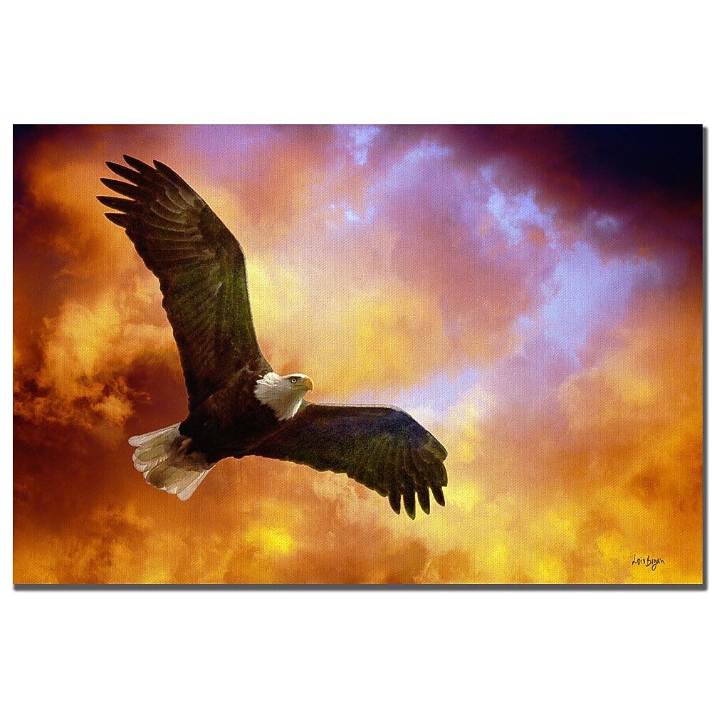 Trademark Fine Art Lois Bryan 'Flight of the Eagle' Canvas Art 22x32 Inches