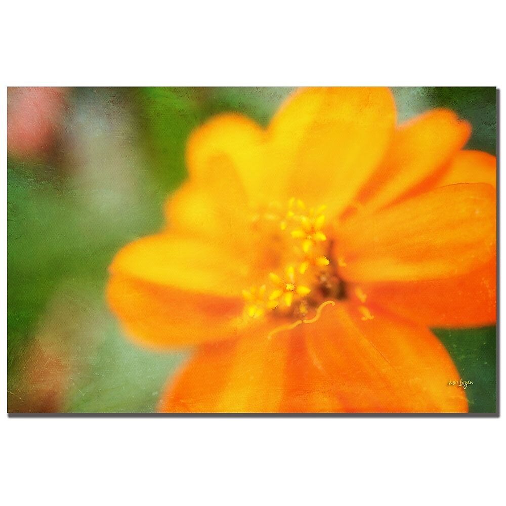 Trademark Fine Art Lois Bryan 'Golden Zinnia' Canvas Art 16x24 Inches