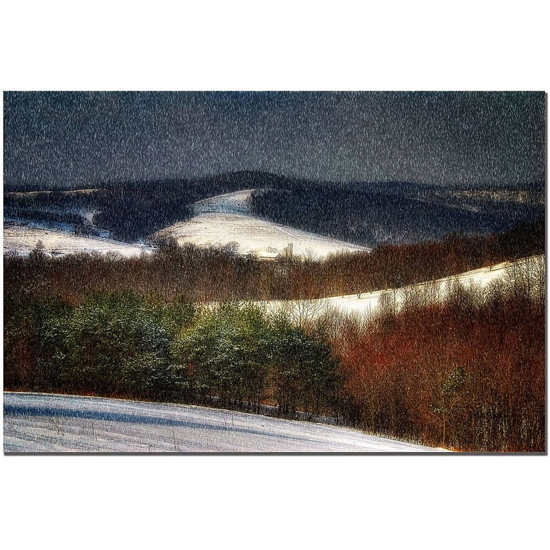 Trademark Fine Art Lois Bryan 'Mountain Snow Storm' Canvas Art 16x24 Inches