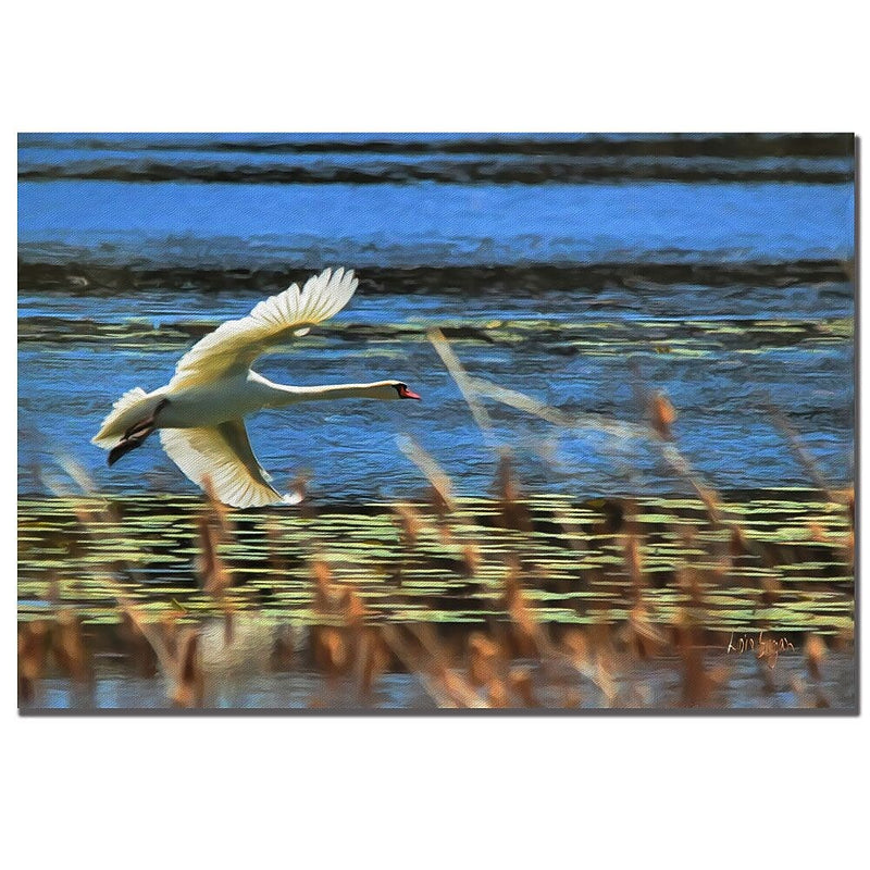 Trademark Fine Art Lois Bryan 'Skimming Swan'' Canvas Art 22x32 Inches