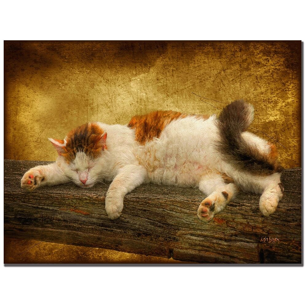 Trademark Fine Art Lois Bryan 'Sleeping Kitty' Canvas Art 30x47 Inches