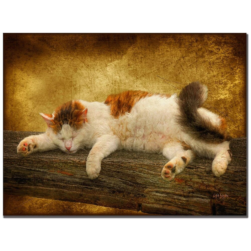 Trademark Fine Art Lois Bryan 'Sleeping Kitty' Canvas Art 30x47 Inches