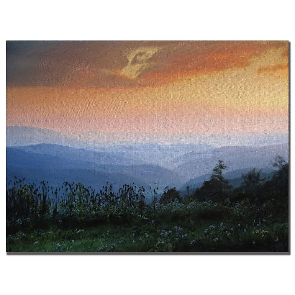Trademark Fine Art Lois Bryan 'Sunrise in the Mountain' Canvas Art 24x32 Inches