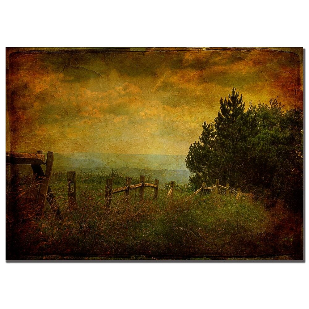 Trademark Fine Art Lois Bryan 'View from the Top' Canvas Art 30x47 Inches