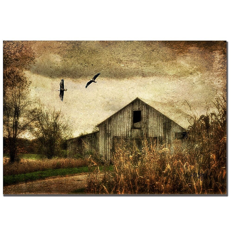 Trademark Fine Art Lois Bryan 'Wings of Change' Canvas Art 22x32 Inches