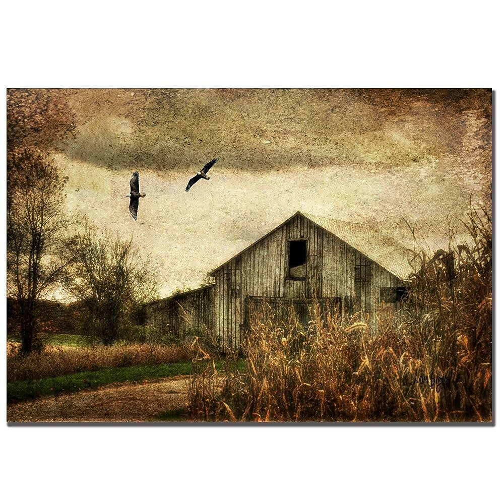 Trademark Fine Art Lois Bryan 'Wings of Change' Canvas Art 16x24 Inches
