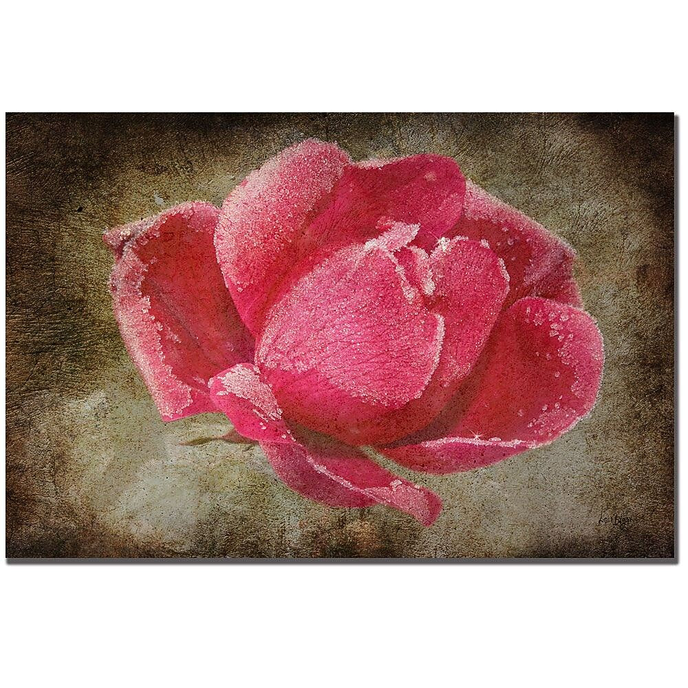 Trademark Fine Art Lois Bryan 'Frosted Rose' Canvas Art 14x19 Inches
