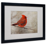Lois Bryan 'Cardinal In Winter' Matted Framed Art - 11x14 Inches - Wood Frame