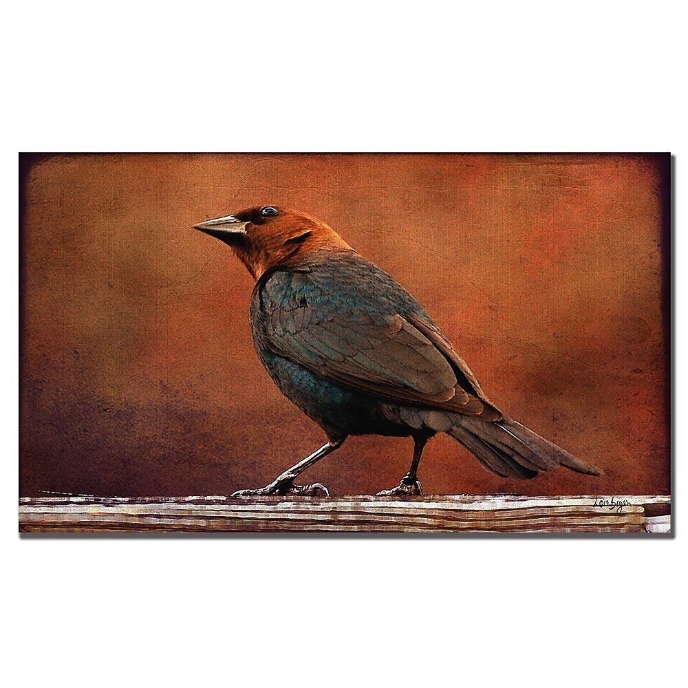 Trademark Fine Art Lois Bryan 'Cowbird in Autumn' Canvas Art 14x24 Inches