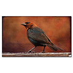 Trademark Fine Art Lois Bryan 'Cowbird in Autumn' Canvas Art 14x24 Inches