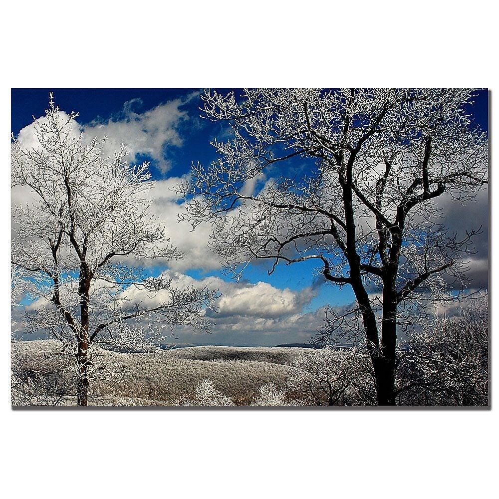 Trademark Fine Art Lois Bryan 'Waiting' Canvas Art