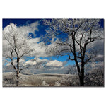 Trademark Fine Art Lois Bryan 'Waiting' Canvas Art