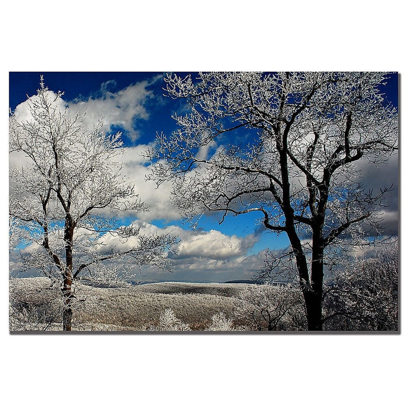 Trademark Fine Art Lois Bryan 'Waiting' Canvas Art