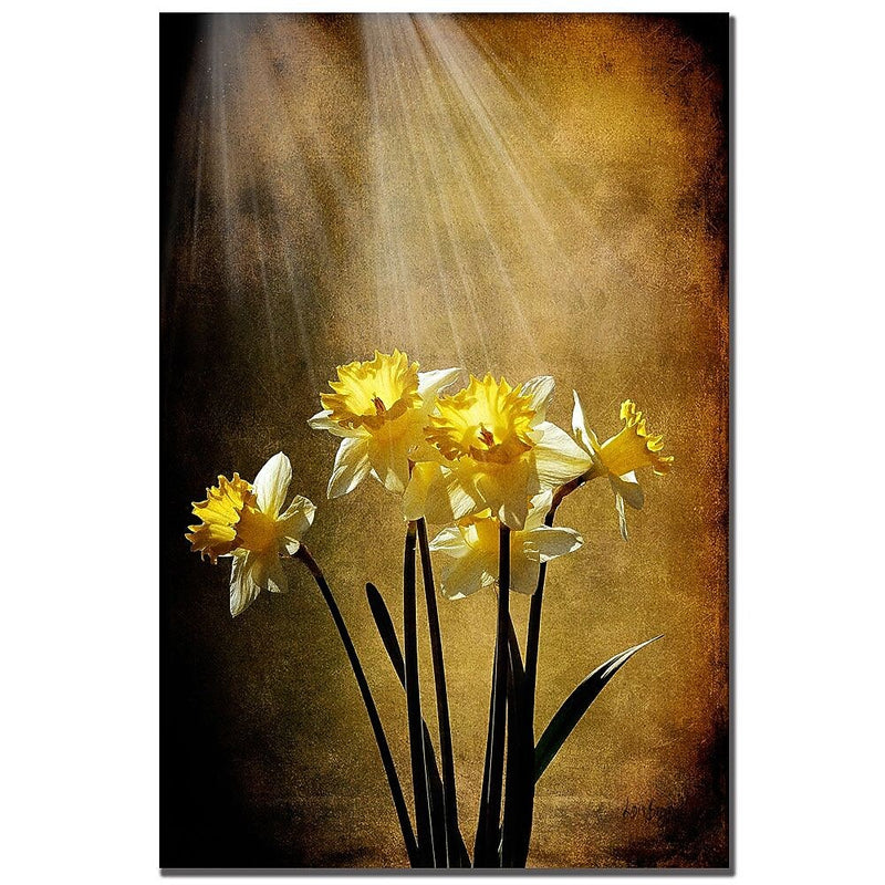 Trademark Fine Art Lois Bryan 'Spring Sun' Canvas Art 22x32 Inches