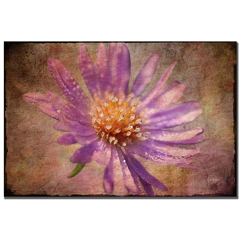 Trademark Fine Art Lois Bryan 'Textured Aster' Canvas Art 30x47 Inches