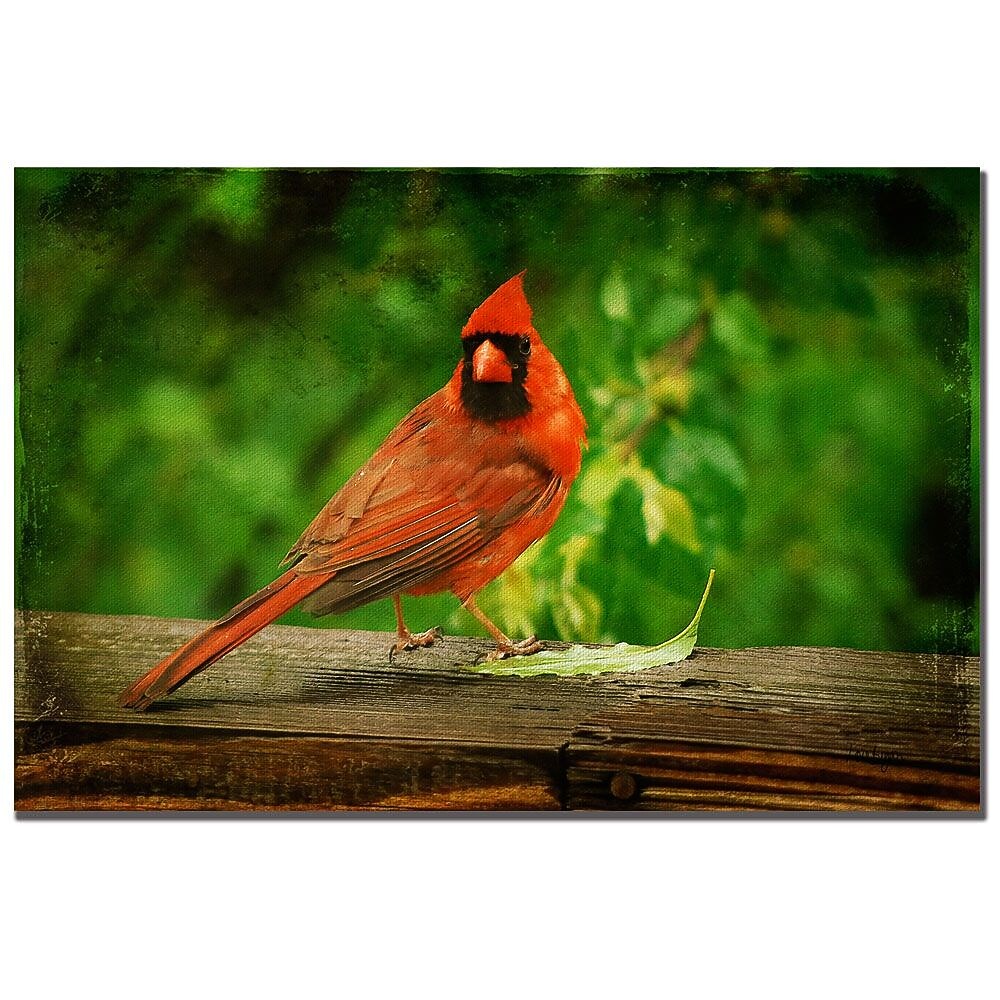 Trademark Fine Art Lois Bryan 'Cardinal in Summer' Canvas Art 22x32 Inches