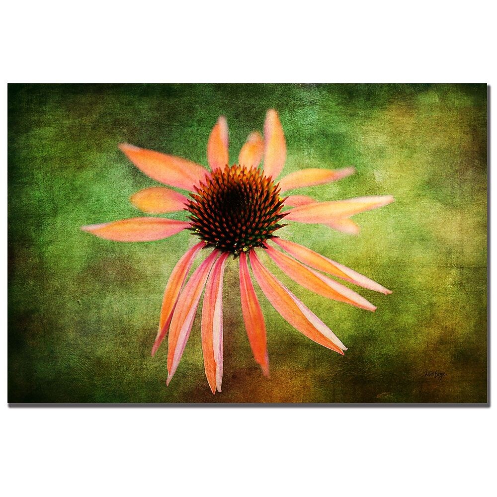 Trademark Fine Art Lois Bryan 'Textured Golden Coneflower' Canvas Art 22x32 Inches