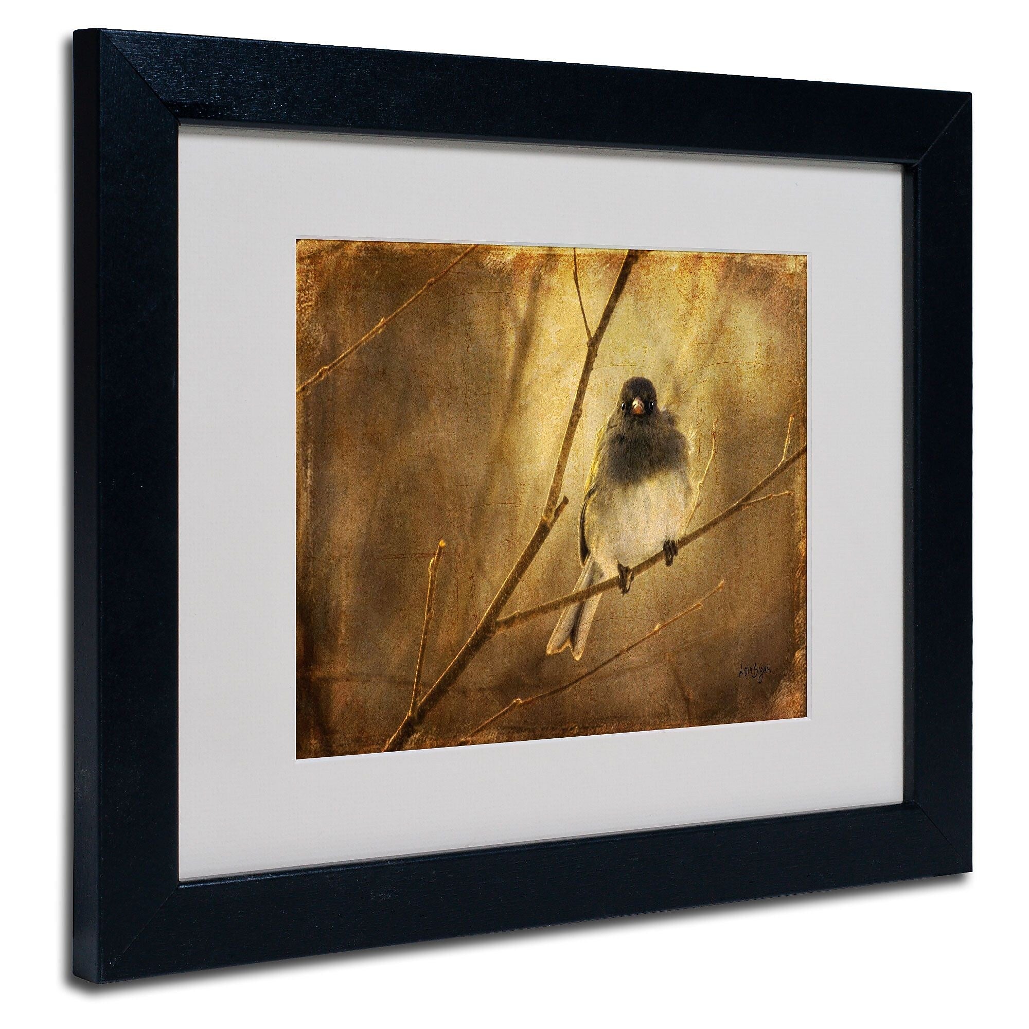 Trademark Fine Art Lois Bryan 'Backlit Birdie Being Buffeted' Matted Art Black Frame 16x20 Inches