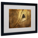 Lois Bryan 'Backlit Birdie Being Buffeted' Matted Framed Art - 11x14 Inches - Wood Frame
