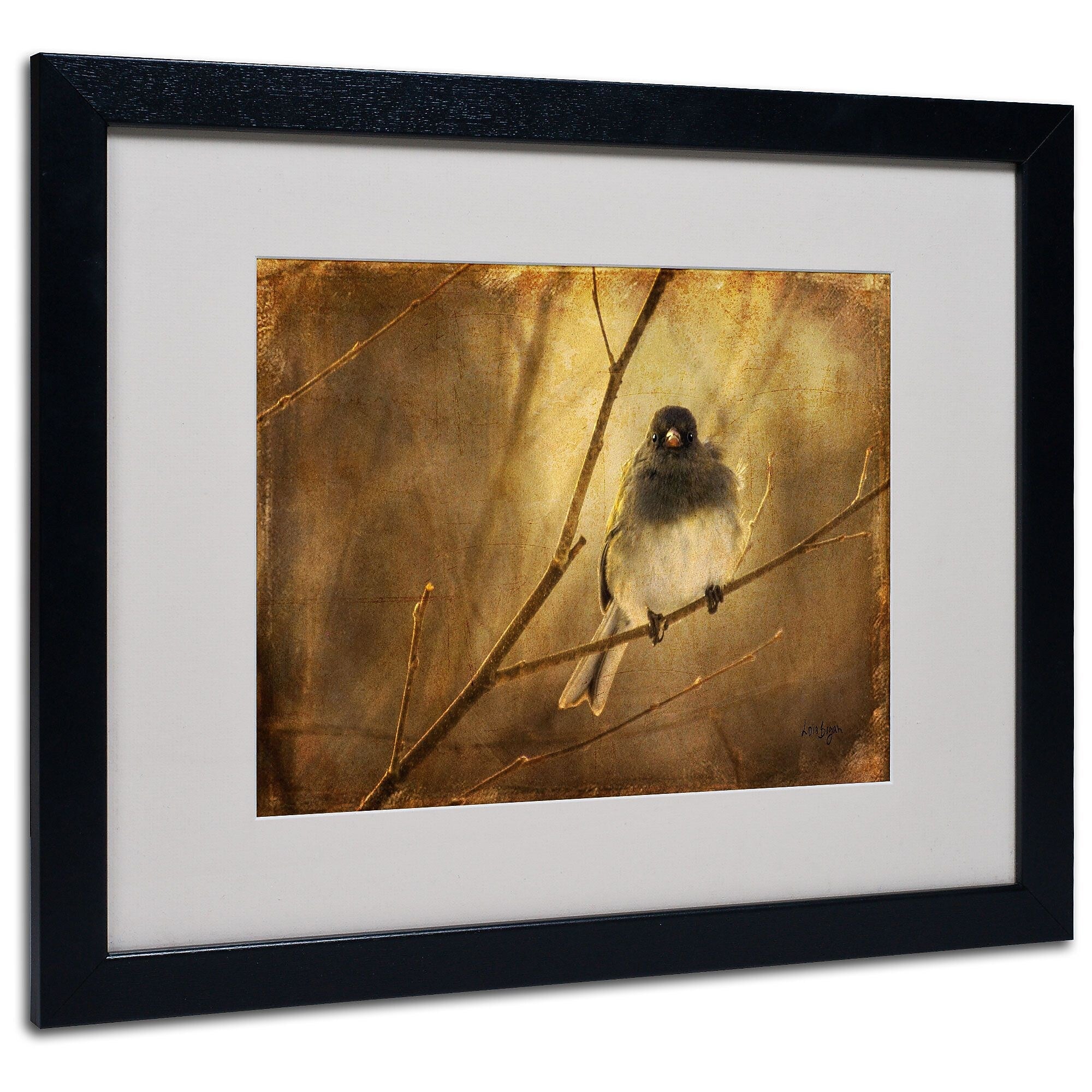 Lois Bryan 'Backlit Birdie Being Buffeted' Matted Framed Art - 11x14 Inches - Wood Frame