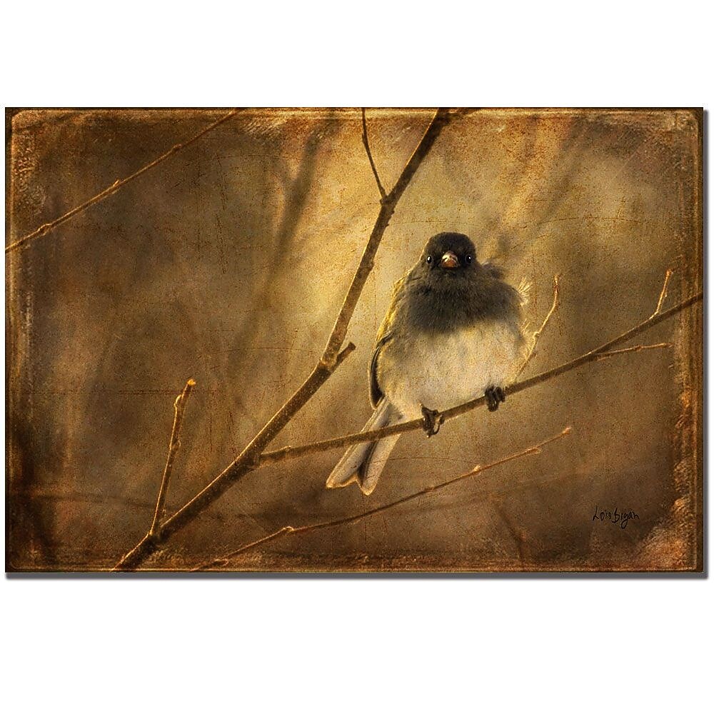 Trademark Fine Art Lois Bryan 'Backlit Birdie Being Buffeted' Canvas Art 22x32 Inches