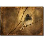Trademark Fine Art Lois Bryan 'Backlit Birdie Being Buffeted' Canvas Art 22x32 Inches