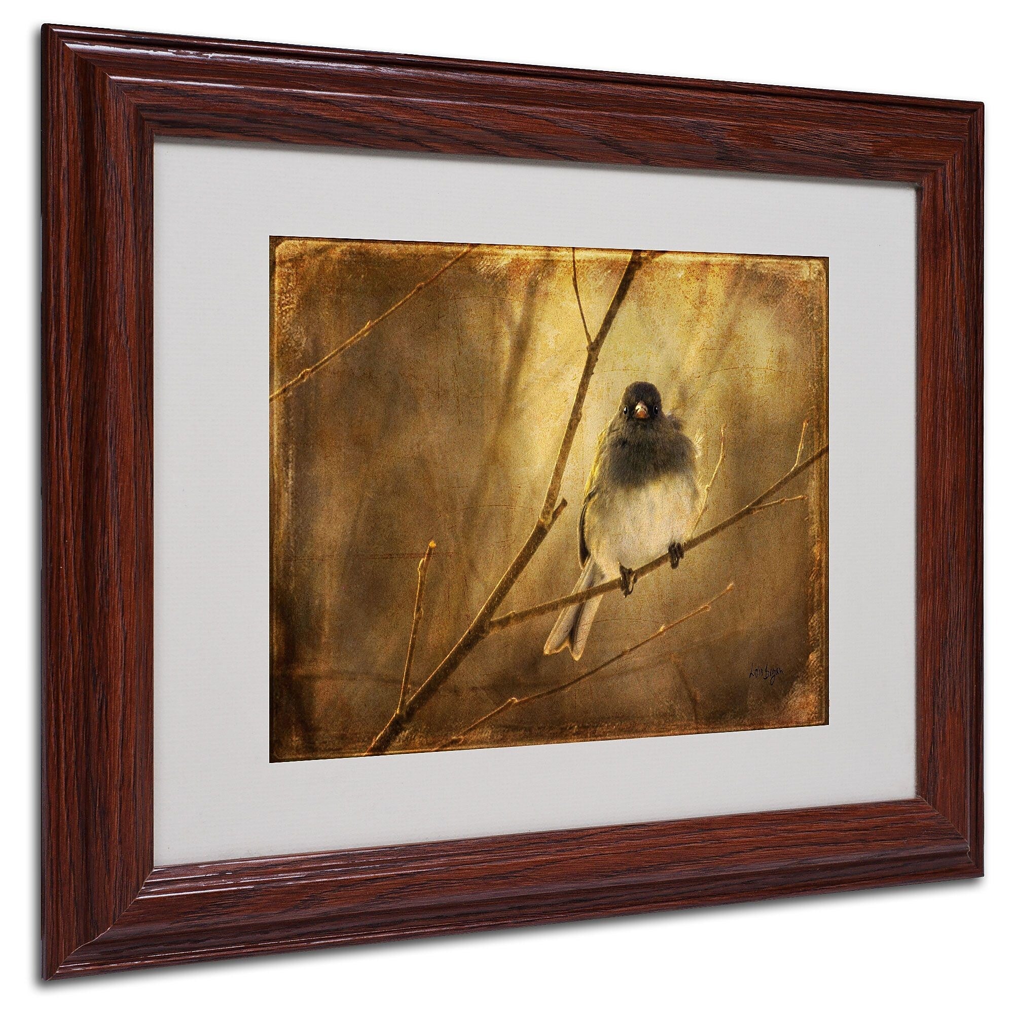 Lois Bryan 'Backlit Birdie Being Buffeted' Matted Framed Art - 16x20 Inches - Wood Frame