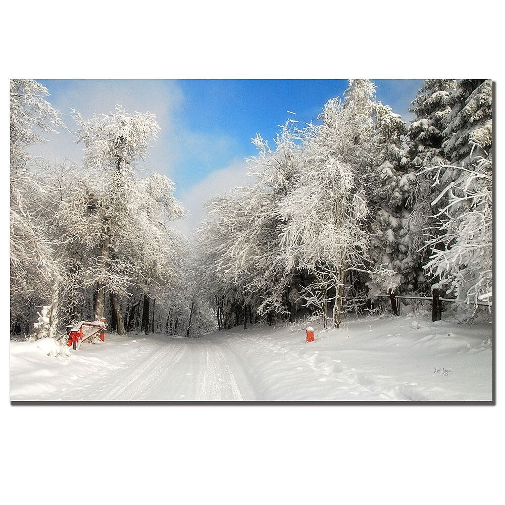 Trademark Fine Art Lois Bryan 'Clearing Skies' Canvas Art 16x24 Inches