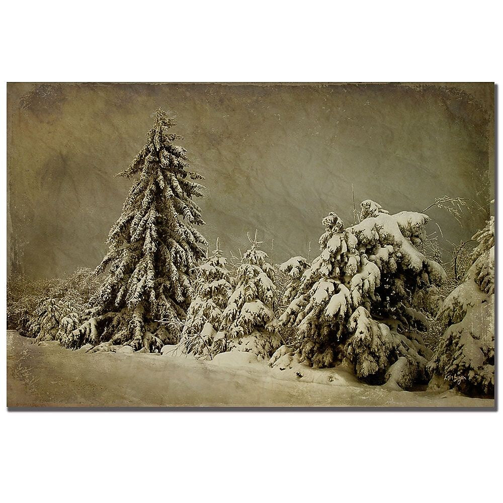 Trademark Fine Art Lois Bryan 'Winter's Wrath' Canvas Art 22x32 Inches