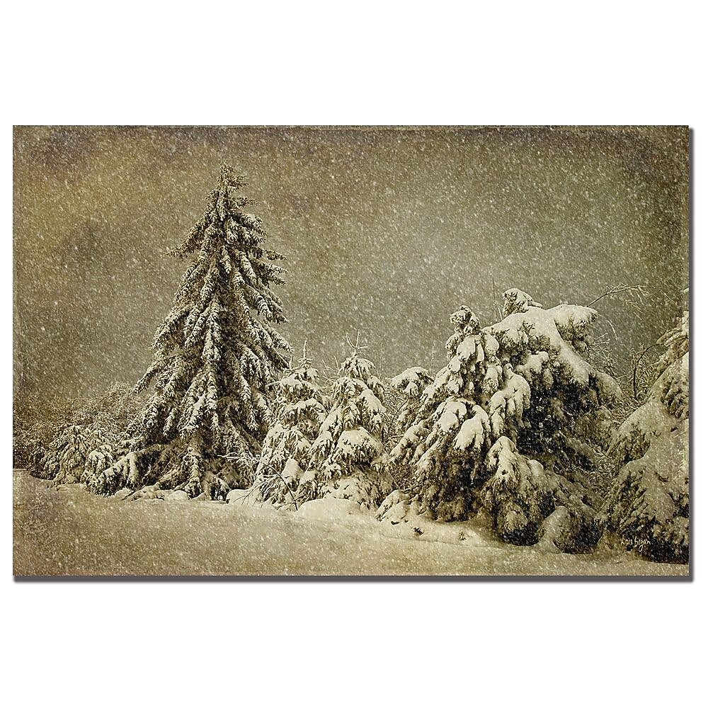 Trademark Fine Art Lois Bryan 'Winter's Wrath with Snow' Canvas Art 16x24 Inches