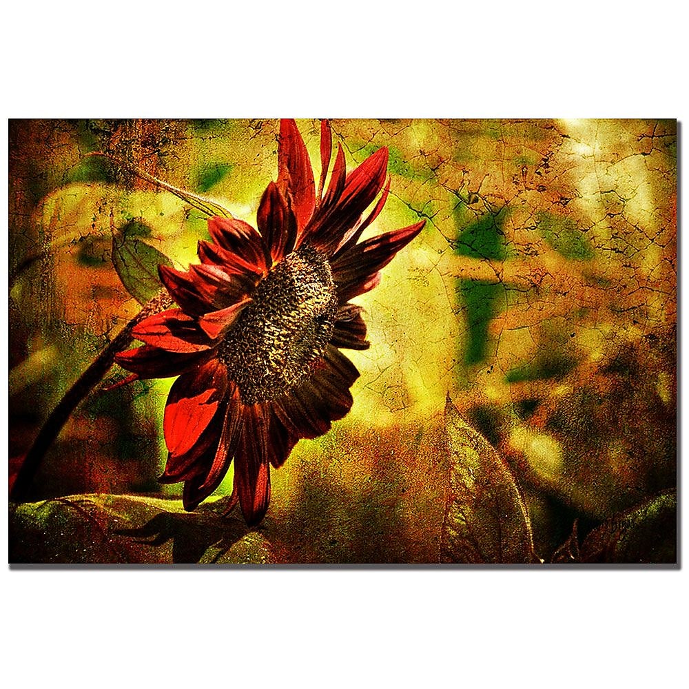 Trademark Fine Art Lois Bryan 'Sunflower' Canvas Art 16x24 Inches