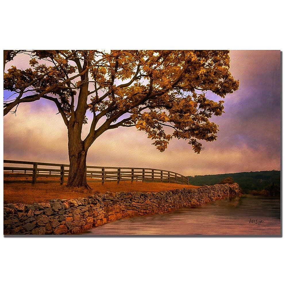 Trademark Fine Art Lois Bryan 'One Tree Hill' Canvas Art 22x32 Inches