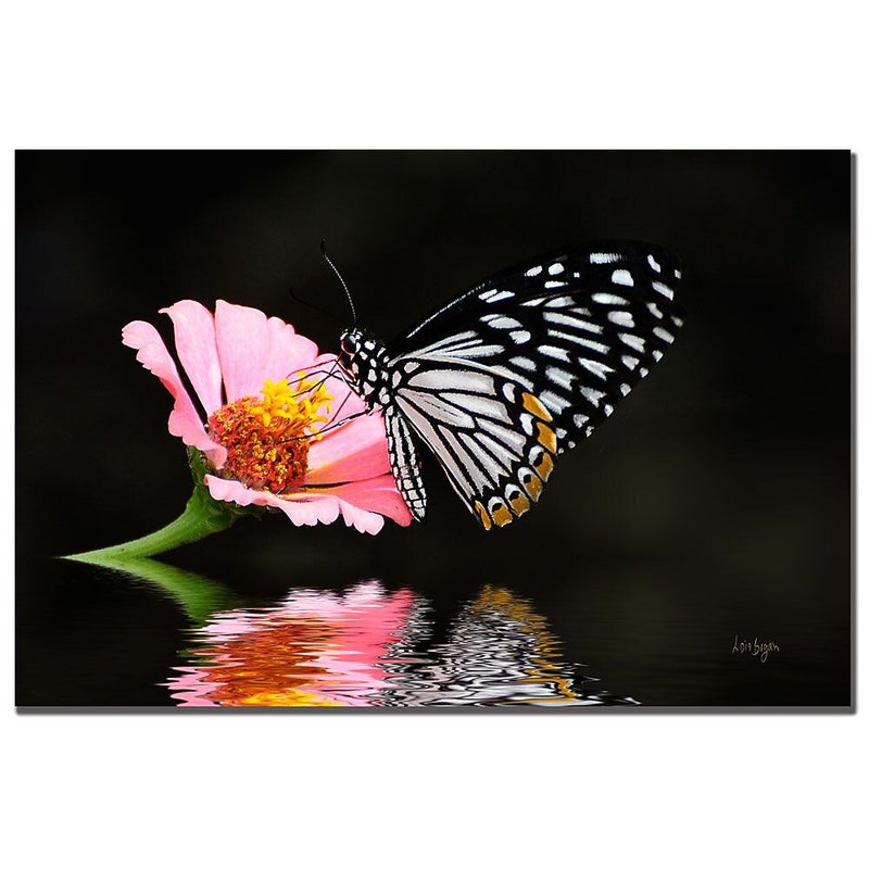 Trademark Fine Art Lois Bryan 'Cliche' Canvas Art 16x24 Inches