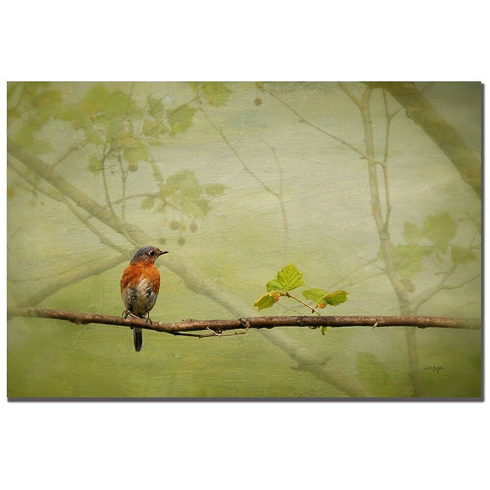 Trademark Fine Art Lois Bryan 'Bluebird in Spring' Matted Art Black Frame 11x14 Inches