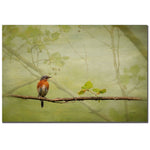 Trademark Fine Art Lois Bryan 'Bluebird in Spring' Matted Art Black Frame 11x14 Inches
