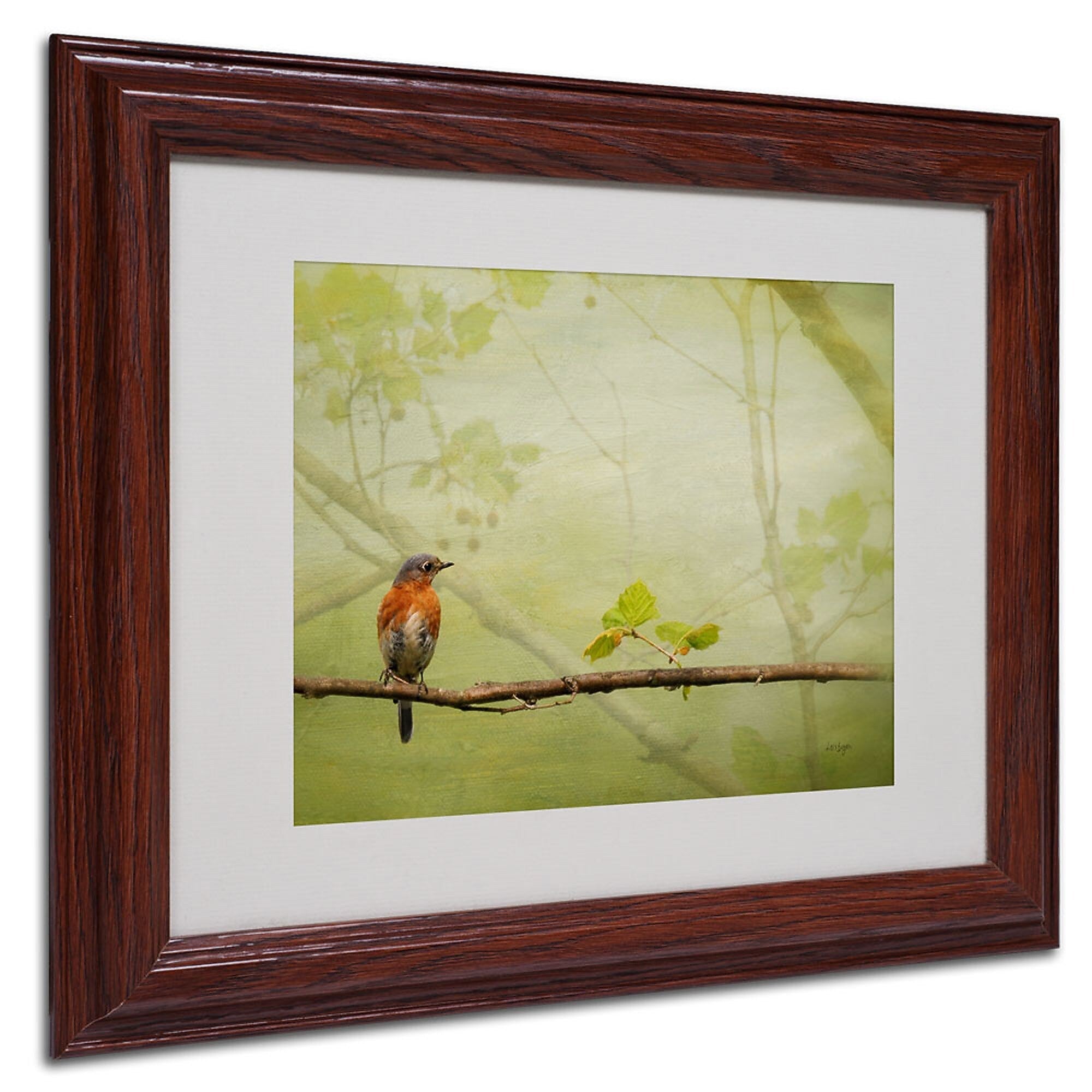 Lois Bryan 'Bluebird in Spring' Framed Matted Art - 16x20 Inches - Wood Frame