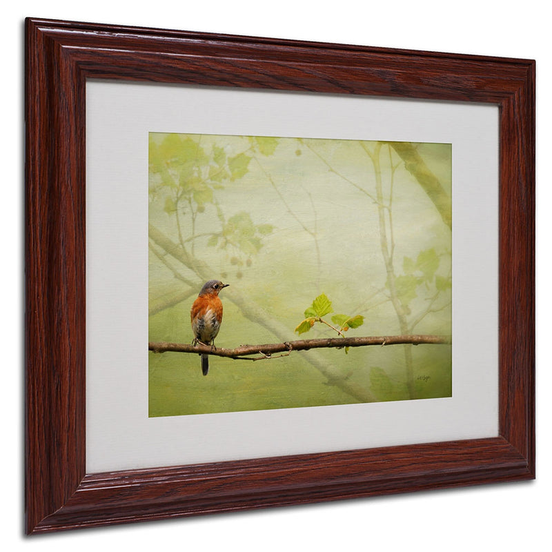 Lois Bryan 'Bluebird in Spring' Framed Matted Art - 16x20 Inches - Wood Frame