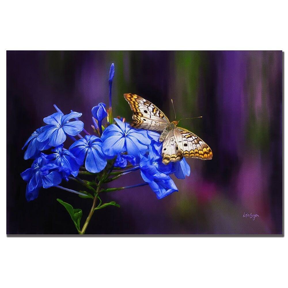 Trademark Fine Art Lois Bryan 'White Peacock' Canvas Art 30x47 Inches